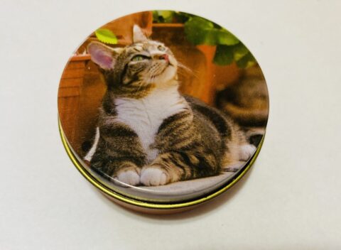 猫の編み目マーカーや段数リングを入れた猫の感ケース①