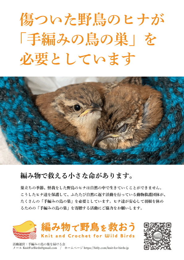 編み物で野鳥を救おうプロジェクト
